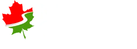 logo-2