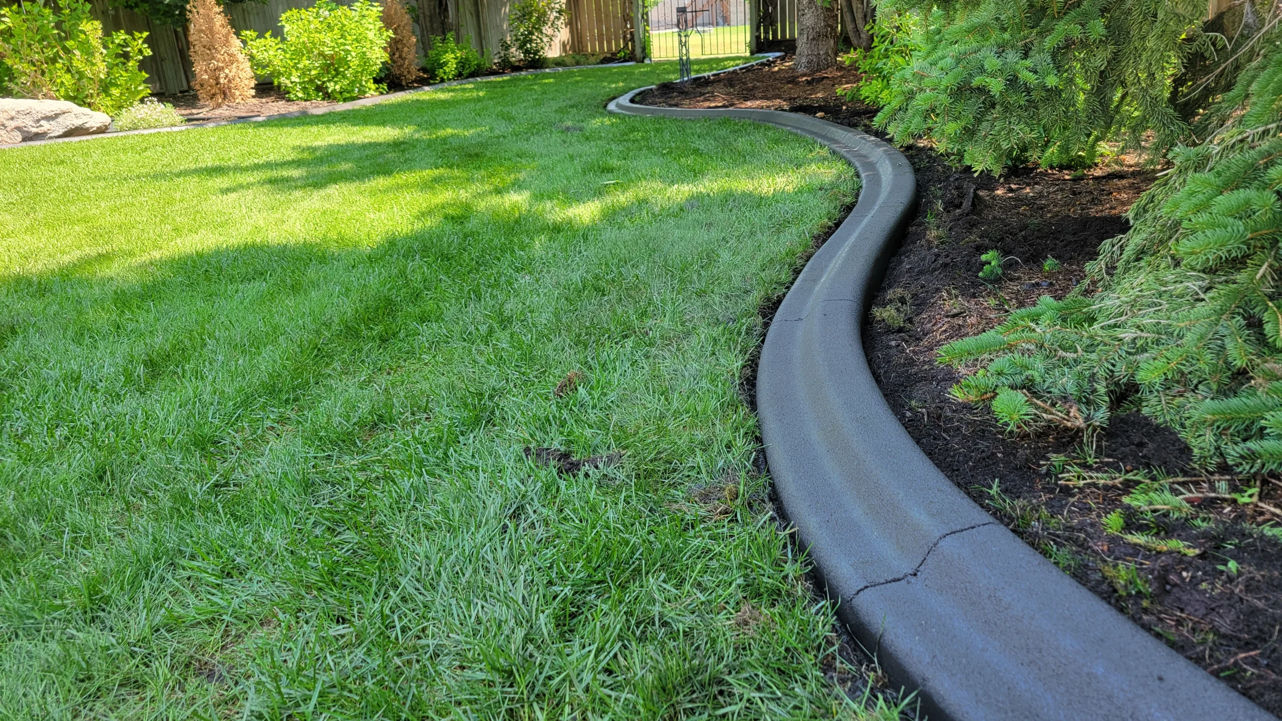 Sleek charcoal Mower's Edge concrete curbing following a smooth curve between lush green lawn and evergreen shrubs with palm accents, installed by Maple Curbing.